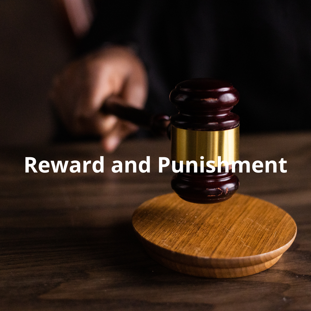 Reward and Punishment - Job as an example
