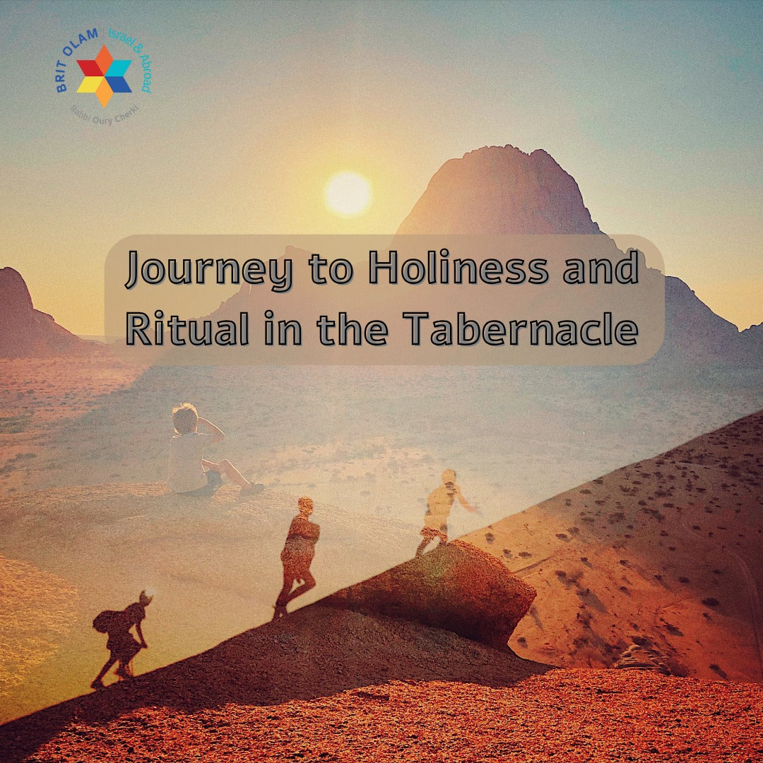 Journey to Holiness and Ritual in the Tabernacle<br>[Tzave]