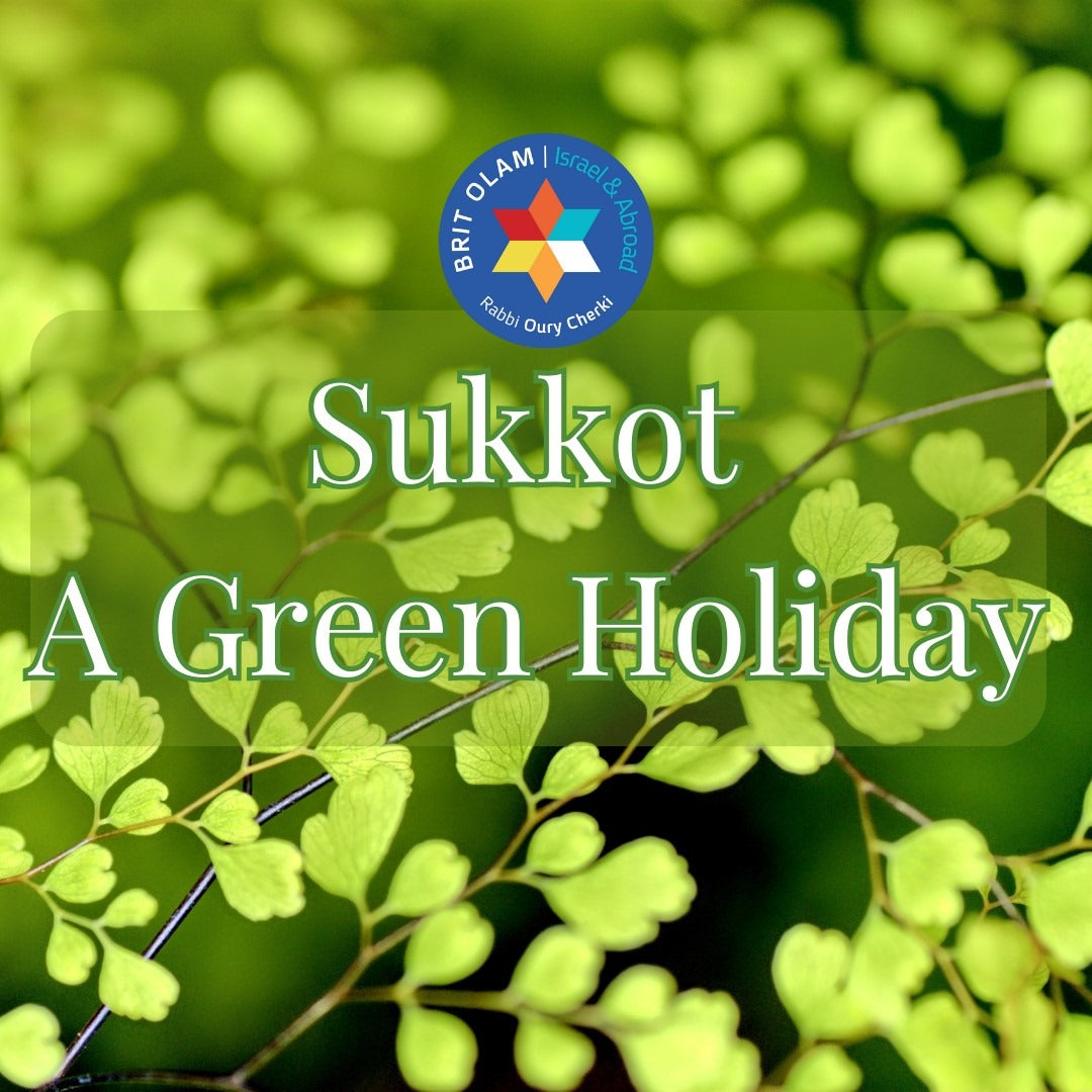 Embracing Nature's Holiness: <br>Sukkot's Unique Connection and Universal Appeal"