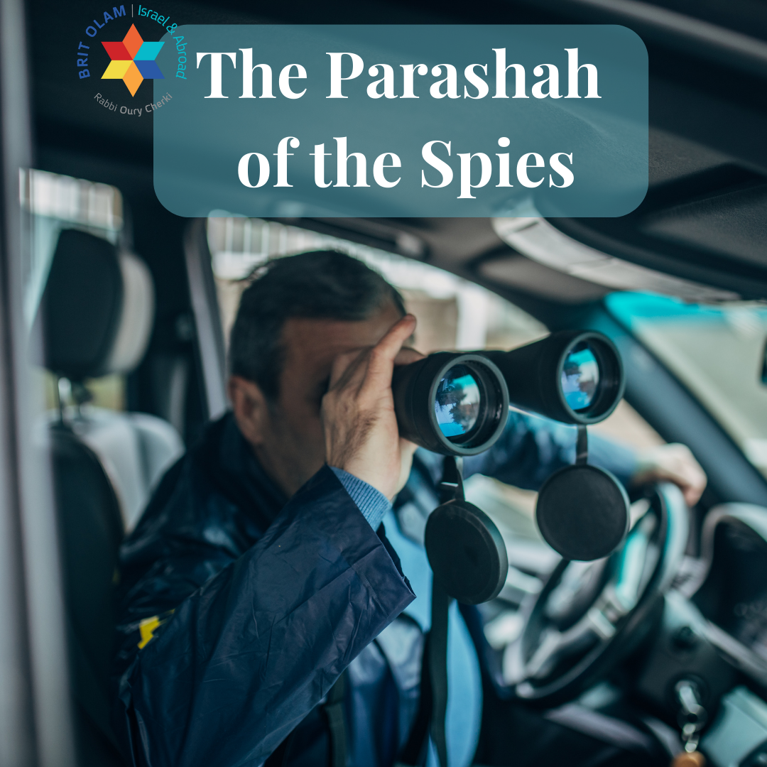 The Parashah of the Spies: A Deep Analysis and Fascinating Insights <br>Shlah Leha