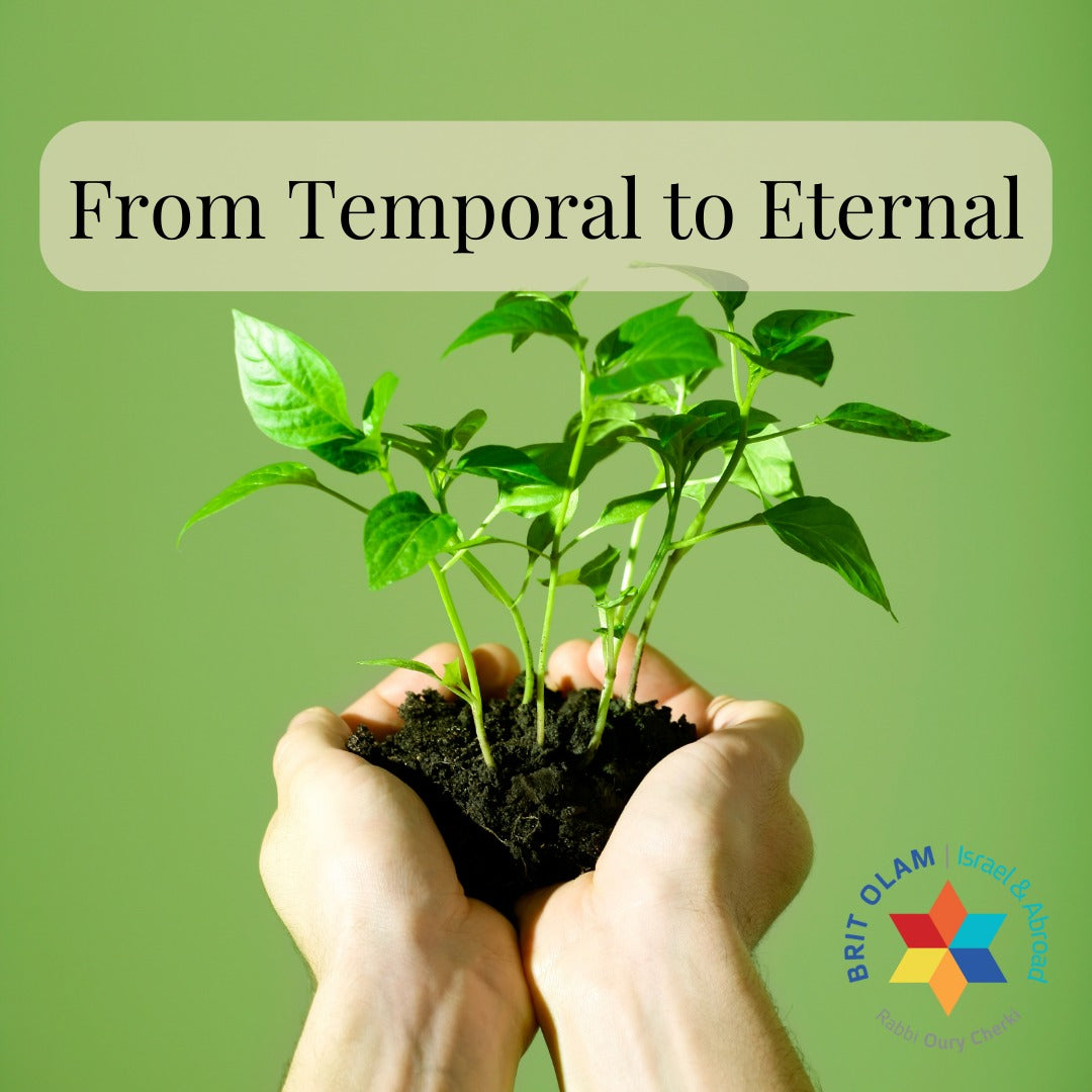 From Temporal to Eternal<BR>Divine Presence in Exodus and Beyond [Pekudey]