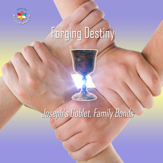 Forging Destiny: Joseph's Goblet, Family Bonds,<br>and the Struggle to Save Benjamin<br>[מקץ]