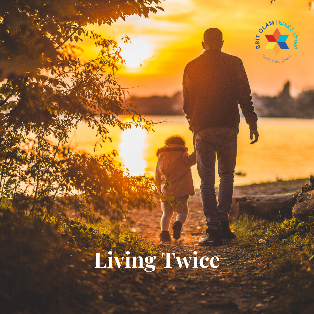 Living Twice<br>Finding Personal Meaning in Life and Death