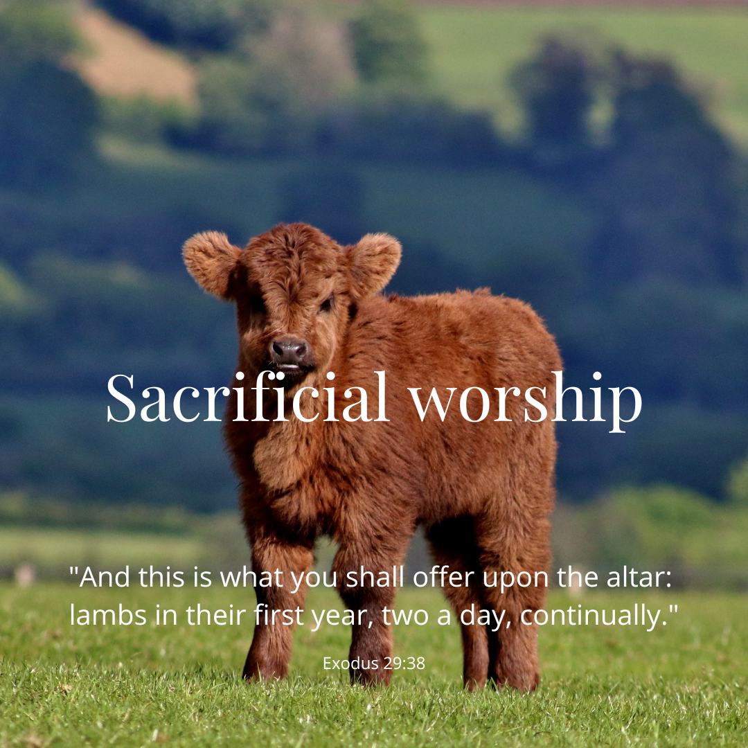 How to defeat our primary war of existence?