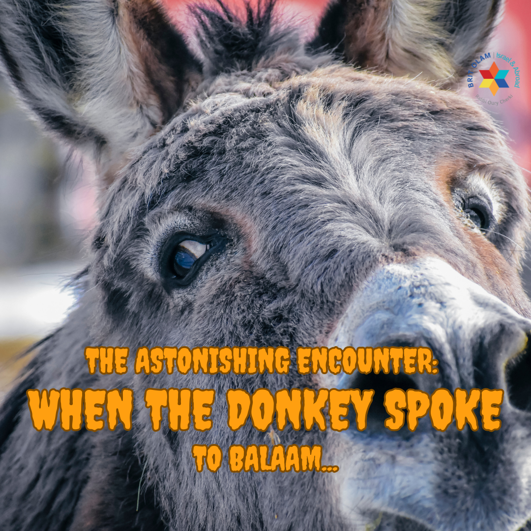 Parashat BALAK<br>Israel's spirituality harmoniously relates surprisingly to the world's nation's spirituality