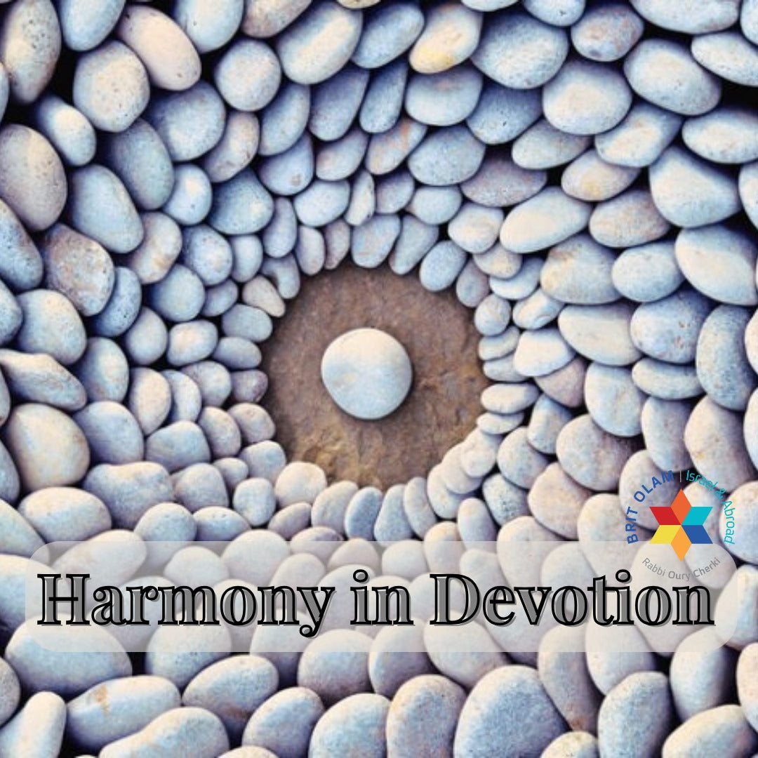 Harmony in Devotion<BR>Balancing Voluntary and Obligatory Acts in Judaism  [Tzav]