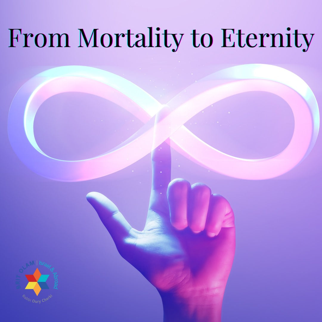 Mortality EterniFrom Mortality to Eternity: The Red Cow’s Path to Purificationty Purification